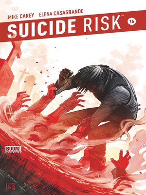 cover image of Suicide Risk (2013), Issue 16